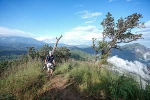 BIB: 
                            <button type="button" onclick="openModal(22371691)" class="btn btn-primary btn-sm float-right btn-popup" data-toggle="modal" data-target=".modal-high-quality">
                        <i class="fas fa-shopping-cart"></i> Add to Cart
                    </button>
                                            <button type="button" onclick="isThisMe(22371691, true)" class="btn btn-success btn-sm float-right btn-popup btn-isme hidden" data-toggle="tooltip" data-placement="bottom" title="นี่คือรูปของคุณใช่ไหม คลิกที่นี่เพื่อเอาเข้าอัลบั้ม">
                        <i class="fas fa-plus"></i> Add to album
                    </button>
                    <button type="button" onclick="isThisMe(22371691, false)" class="btn btn-warning btn-sm float-right btn-popup btn-isnotme hidden">
                        <i class="fas fa-ban"></i> Remove from album
                    </button>